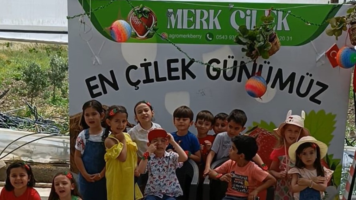 ANANIFI A ve B ŞUBESİ ÇİLEK BAHÇESİNDE